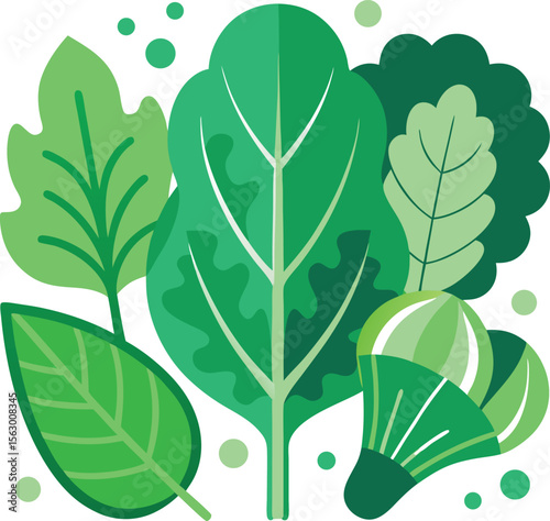 Green Leafy Vegetables Illustration: Spinach, Lettuce, Kale, Broccoli, and Brussels Sprouts Graphic Design for Healthy Eating Concepts