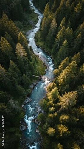 Aerial View of a Winding River Through a Lush Forest