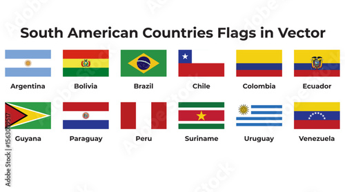 Collection of South American Countries National Flags in Vector