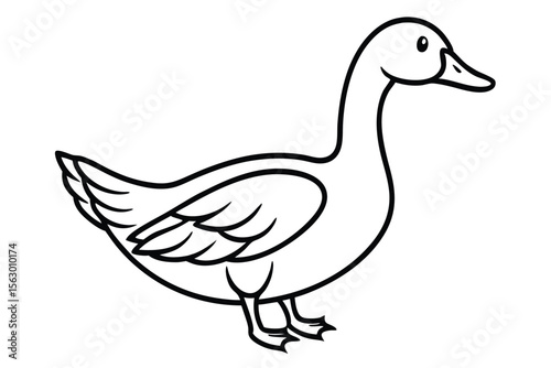 Black and white shows a stylized goose standing on the ground