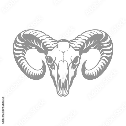 Detailed illustration of a ram skull with large horns