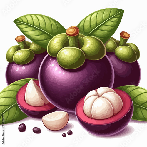 Digital illustration of mangosteen fruits, displaying their vibrant purple skin, green leaves, and white flesh in a still life composition.