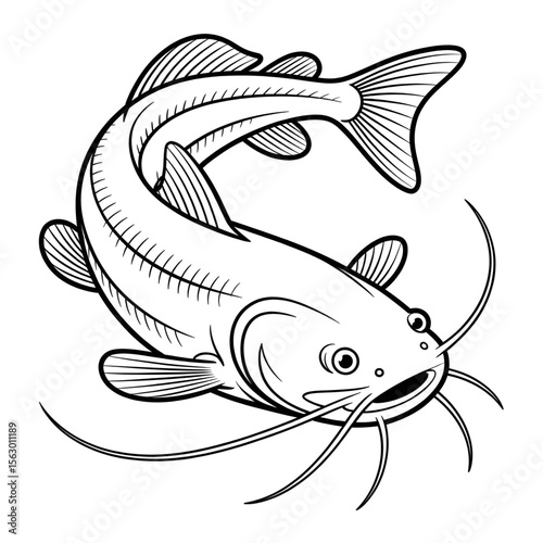 a catfish in the lake 