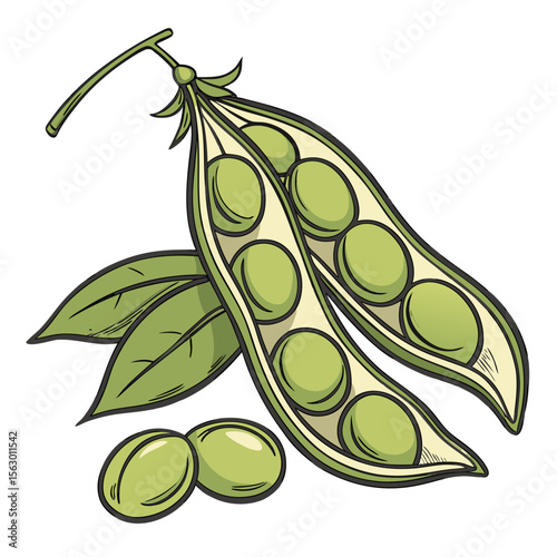 An open pea pod with green peas and leaves isolated on white background