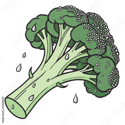 A fresh green broccoli floret with water droplets illustration