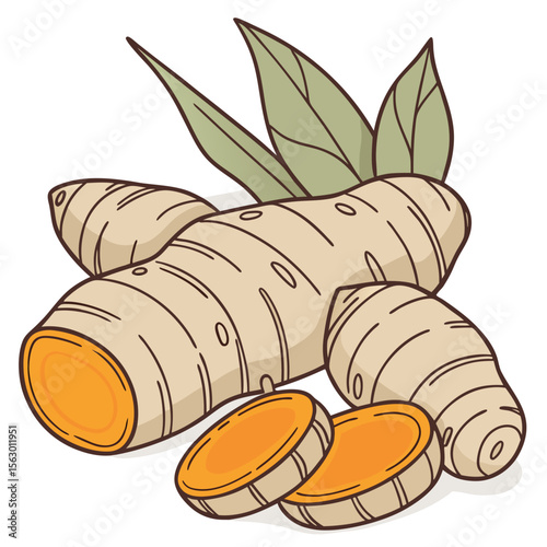 A turmeric root with slices isolated on white background