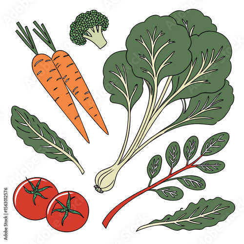 Fresh vegetables including carrots, tomatoes, and broccoli isolated on white