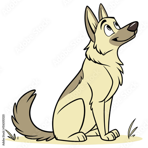 A german shepherd dog sits isolated on white background