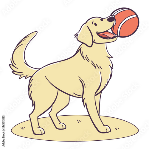 A golden retriever dog plays with a ball isolated on white background