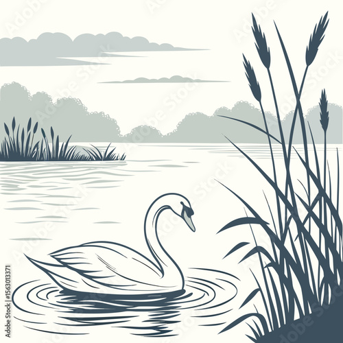 A swan gracefully glides on a tranquil lake surrounded by reeds