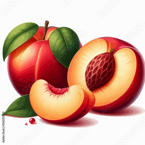 Detailed illustration of a whole peach and two slices, showcasing the colorful flesh and vibrant leaves. The image highlights the fruit's texture and appealing qualities.