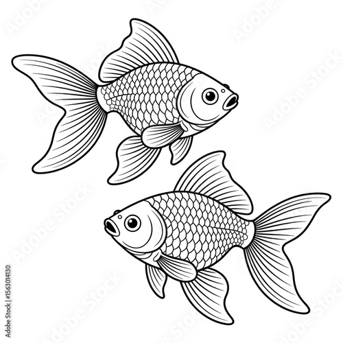 two goldfish playing in river 