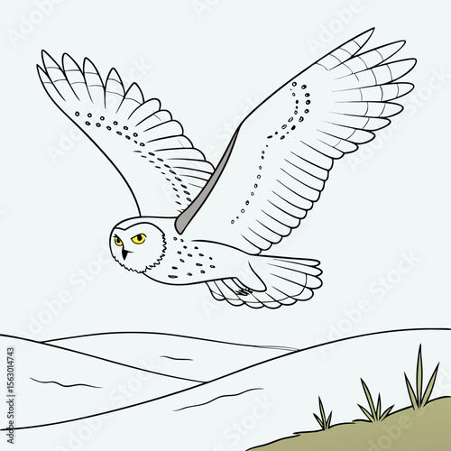 A snowy owl flies over a winter landscape isolated on white background