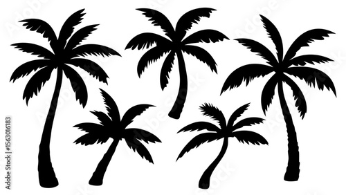 Palm tree silhouettes set – black palm tree shape collection. Isolated tropical vector trees on white background. Perfect for summer, beach, jungle, and minimal design use