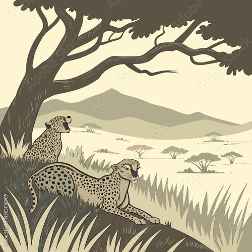 Two cheetahs rest in the shade of a tree on the african savanna