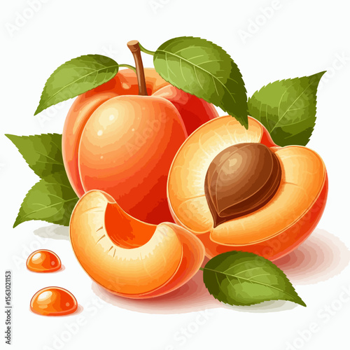 Vibrant, detailed illustration showcases a whole apricot and its sliced segments, complete with leaves and drops of juice, set against a plain white backdrop.