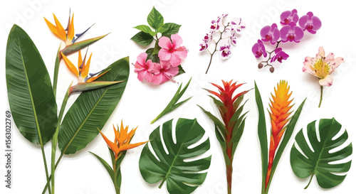 Tropical flowers and leaves arrangement on white background top view flatlay