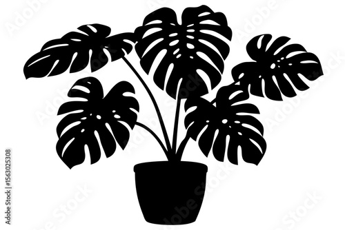 Silhouette of a Monstera plant with large split leaves in a flower pot. Vector graphic isolated on white. Perfect for modern, botanical, and minimalist design themes.