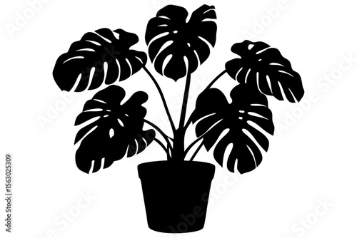 Silhouette of a Monstera plant with large split leaves in a flower pot. Vector graphic isolated on white. Perfect for modern, botanical, and minimalist design themes.