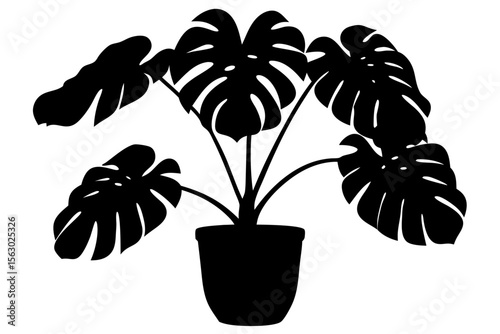 Silhouette of a Monstera plant with large split leaves in a flower pot. Vector graphic isolated on white. Perfect for modern, botanical, and minimalist design themes.