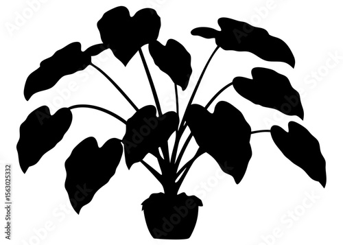 Silhouette of an Alocasia plant with large, distinctive leaves in a flower pot. Vector illustration isolated on white background. Ideal for botanical, interior, and minimal design projects.