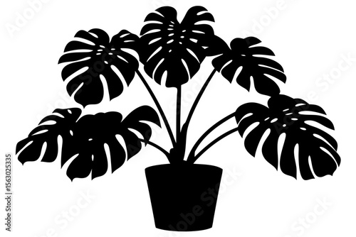 Silhouette of a Monstera plant with large split leaves in a flower pot. Vector graphic isolated on white. Perfect for modern, botanical, and minimalist design themes.