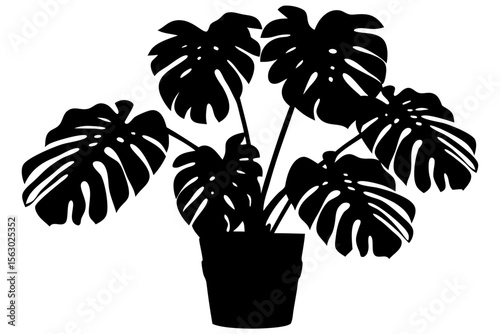 Silhouette of a Monstera plant with large split leaves in a flower pot. Vector graphic isolated on white. Perfect for modern, botanical, and minimalist design themes.