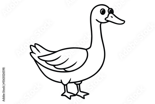 An elegant black goose standing with defined feathers isolated on white