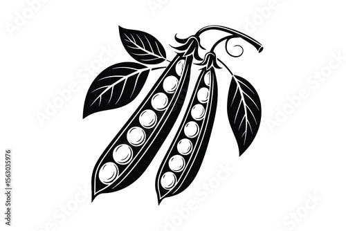 Pea Pods with Leaves Black and White Silhouette