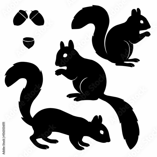 set of funny cats