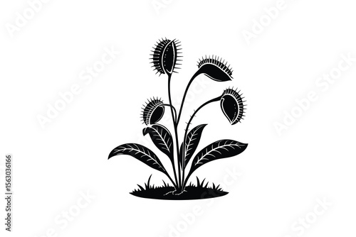 Venus Flytrap Plant with Spiked Traps Black Silhouette