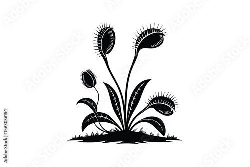 Venus Flytrap Plant Black and White Silhouette