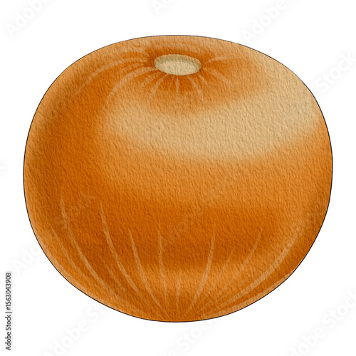 gooseberry01