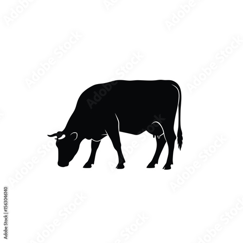 Cow Grazing Silhouette