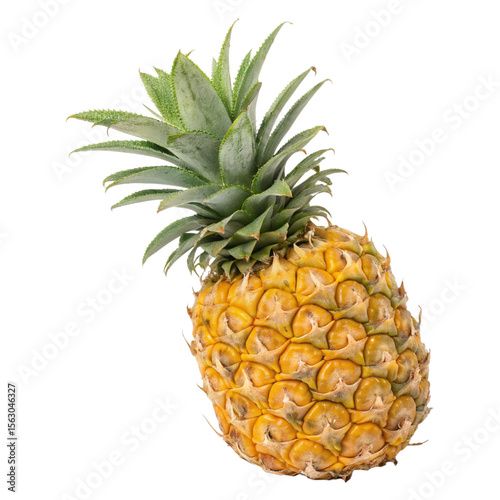 Fresh Pineapple Isolated on White Background