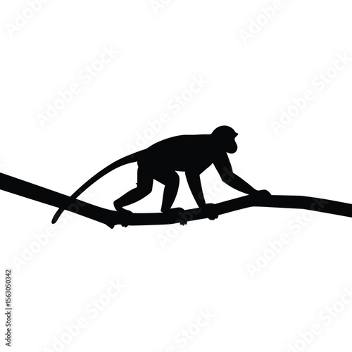 Monkey Hanging from Tree Silhouette