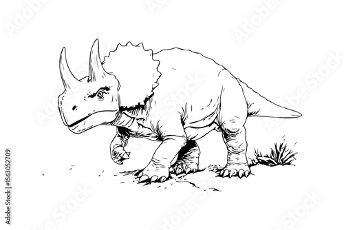Robust dinosaur with distinctive frill and prominent horns exploring terrain