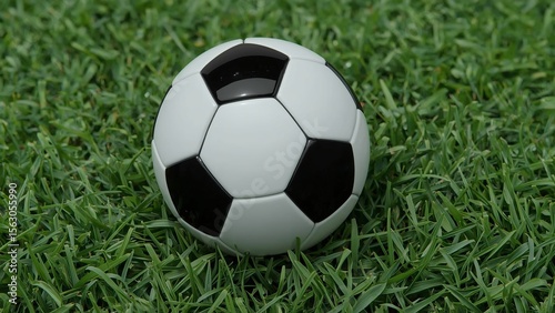 A classic black and white soccer ball resting on vibrant green grass, representing the spirit of outdoor sports.