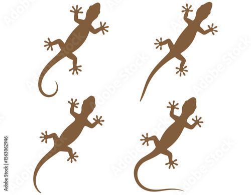 Closeup house lizard silhouette isolated on white background. Vector illustration, Silhouettes of a Gecko, simple stylized silhouettes of geckos in a neutral brown and black tone against.