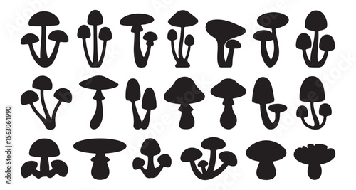 Set of different mushroom silhouettes, graphic drawing with lines, black and white cut truffle, porcini mushroom, color full Mushroom Silhouettes for Design. mushroom, silhouette, boletus.