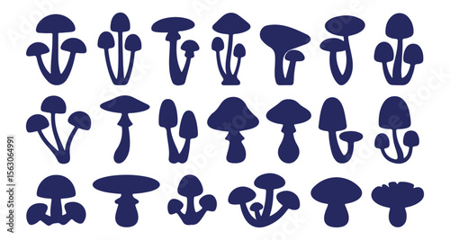 Set of different mushroom silhouettes, graphic drawing with lines, black and white cut truffle, porcini mushroom, color full Mushroom Silhouettes for Design. mushroom, silhouette, boletus.