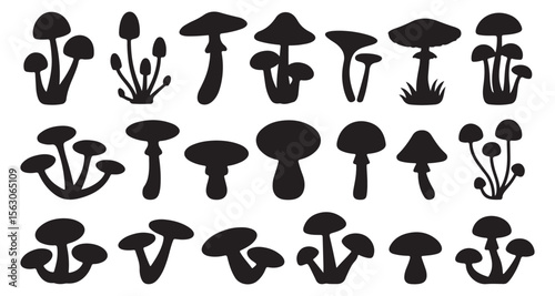 Set of different mushroom silhouettes, graphic drawing with lines, black and white cut truffle, porcini mushroom, color full Mushroom Silhouettes for Design. mushroom, silhouette, boletus.