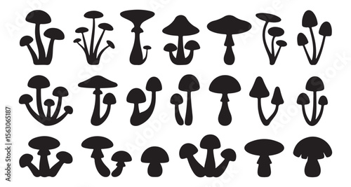 Set of different mushroom silhouettes, graphic drawing with lines, black and white cut truffle, porcini mushroom, color full Mushroom Silhouettes for Design. mushroom, silhouette, boletus.