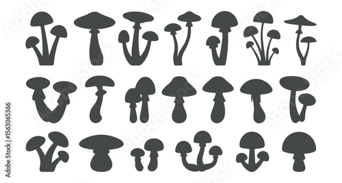 Set of different mushroom silhouettes, graphic drawing with lines, black and white cut truffle, porcini mushroom, color full Mushroom Silhouettes for Design. mushroom, silhouette, boletus.