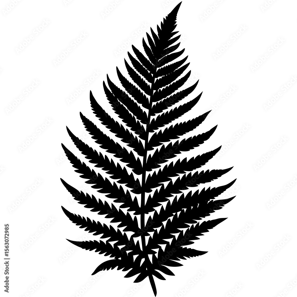 Naklejka premium Fern Leaf Nature Silhouette Clipart