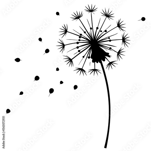 Dandelion Seeds Blowing Silhouette