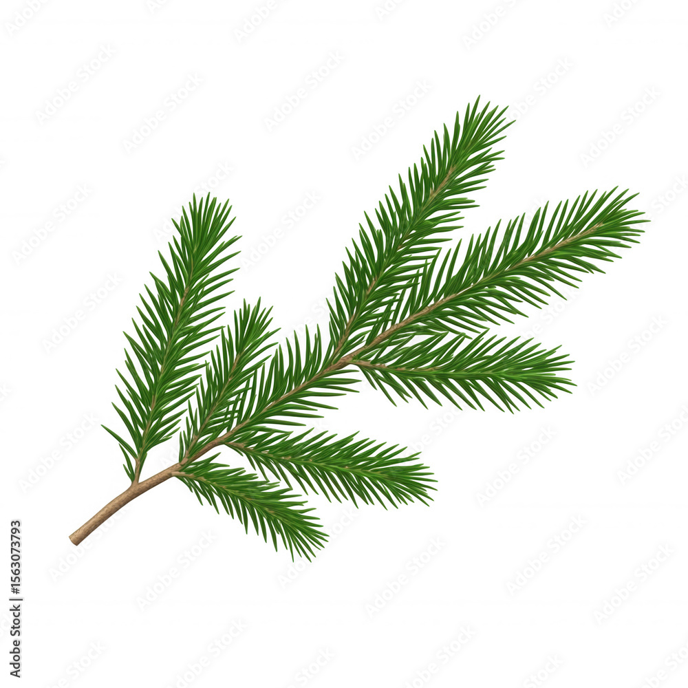 Naklejka premium Photorealistic 3d fir branch icon, rendering winter holiday design element with crisp detail, transparent isolated background