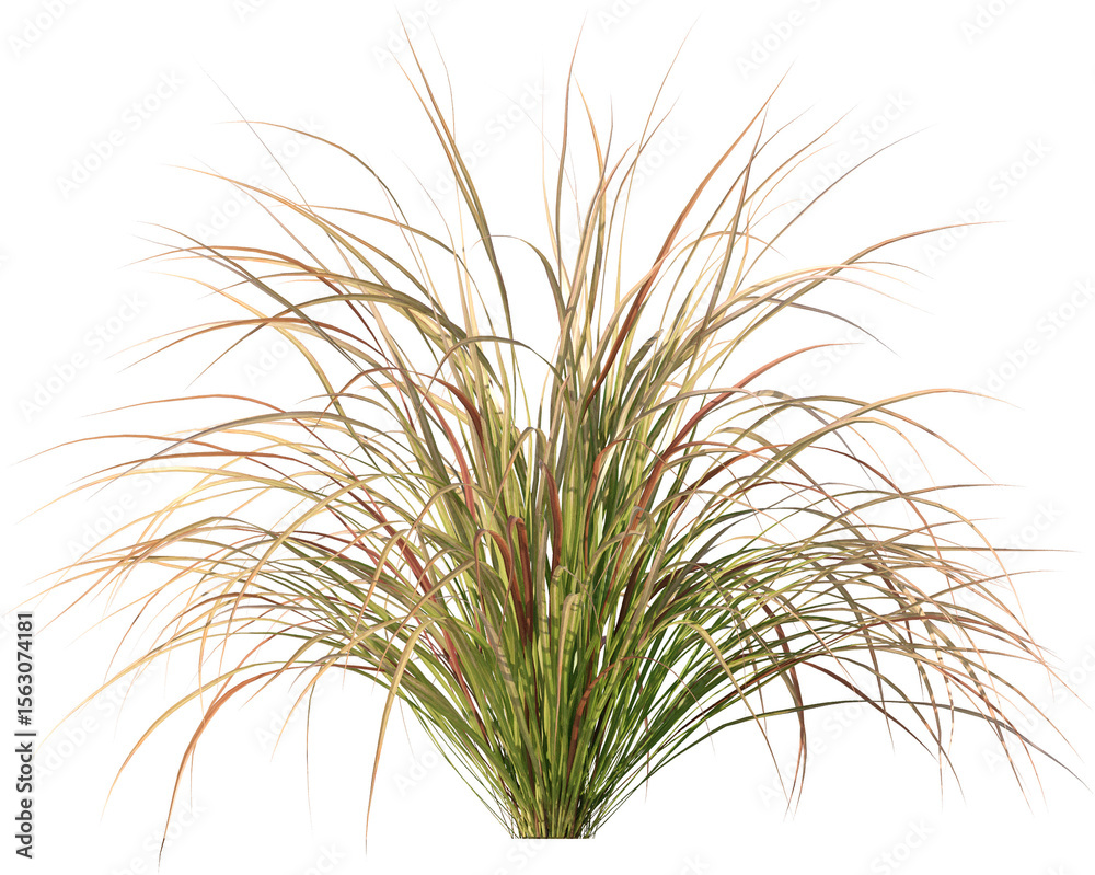 Fototapeta premium Plant, Green Plant, Home Plants, Hanging Plant, Jungle Plant, Nature, Garden Plant