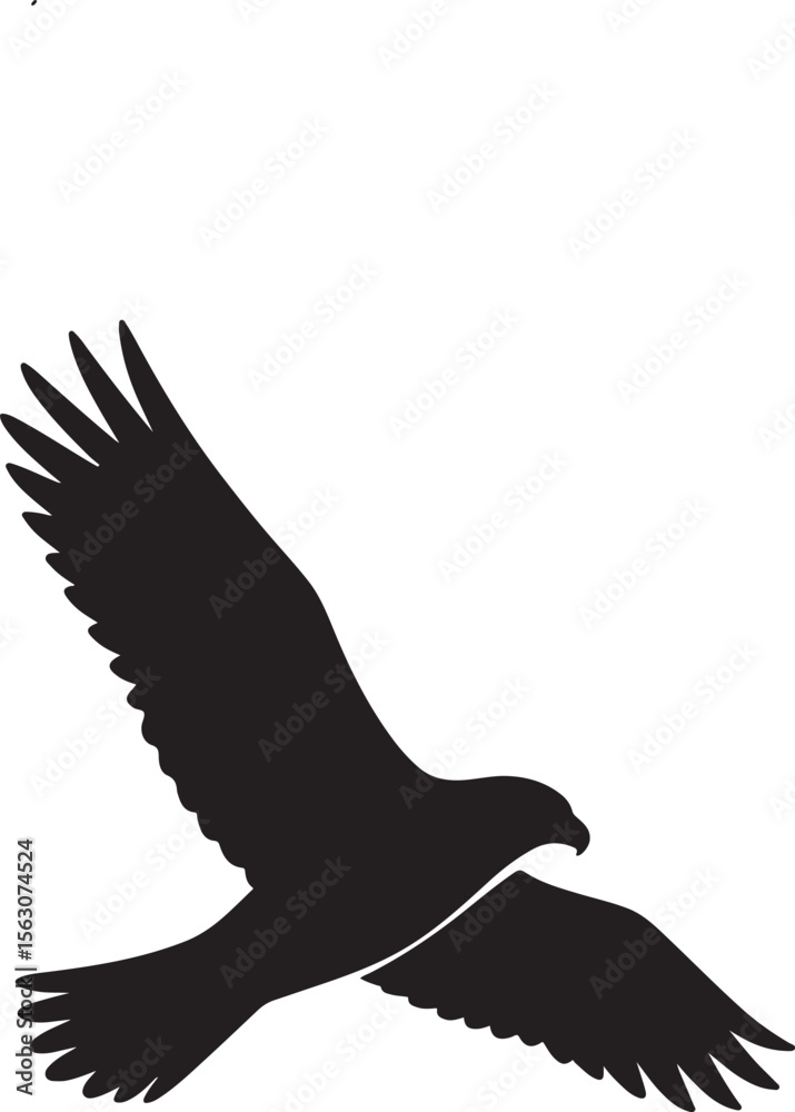 Fototapeta premium Vector illustration of a flying eagle silhouette with spread wings in black style