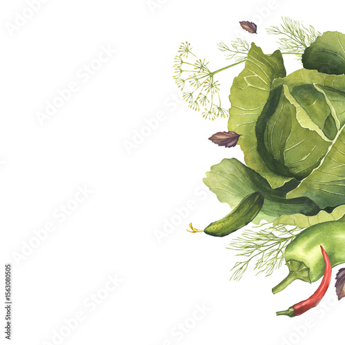 Fresh vegetables with aromatic herbs watercolor illustration. Cabbage, pepper, cucumber, jalapeno, eggplant with basil and dill leaves. Organic farm produce. Bright hand-drawn illustration vegetables